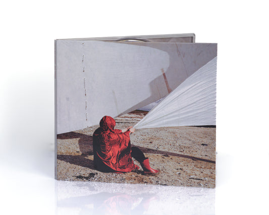 Wij Zinken CD